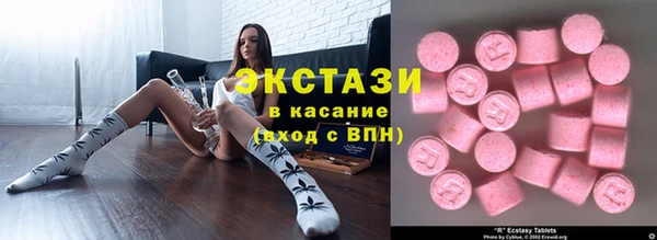 индика Лабытнанги