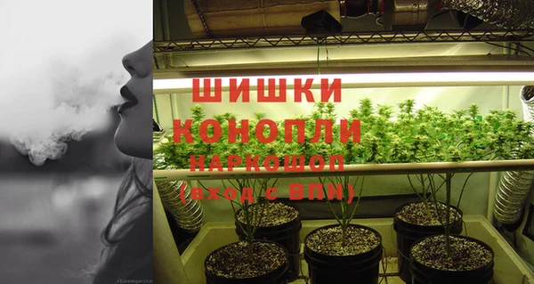 прущие грибы Костерёво