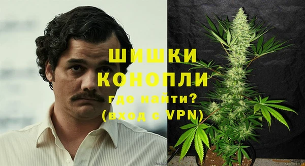 индика Лабытнанги