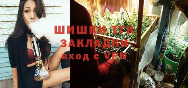 индика Лабытнанги