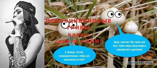 индика Лабытнанги