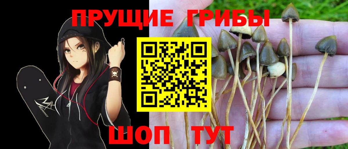 Галлюциногенные грибы мицелий Михайловка